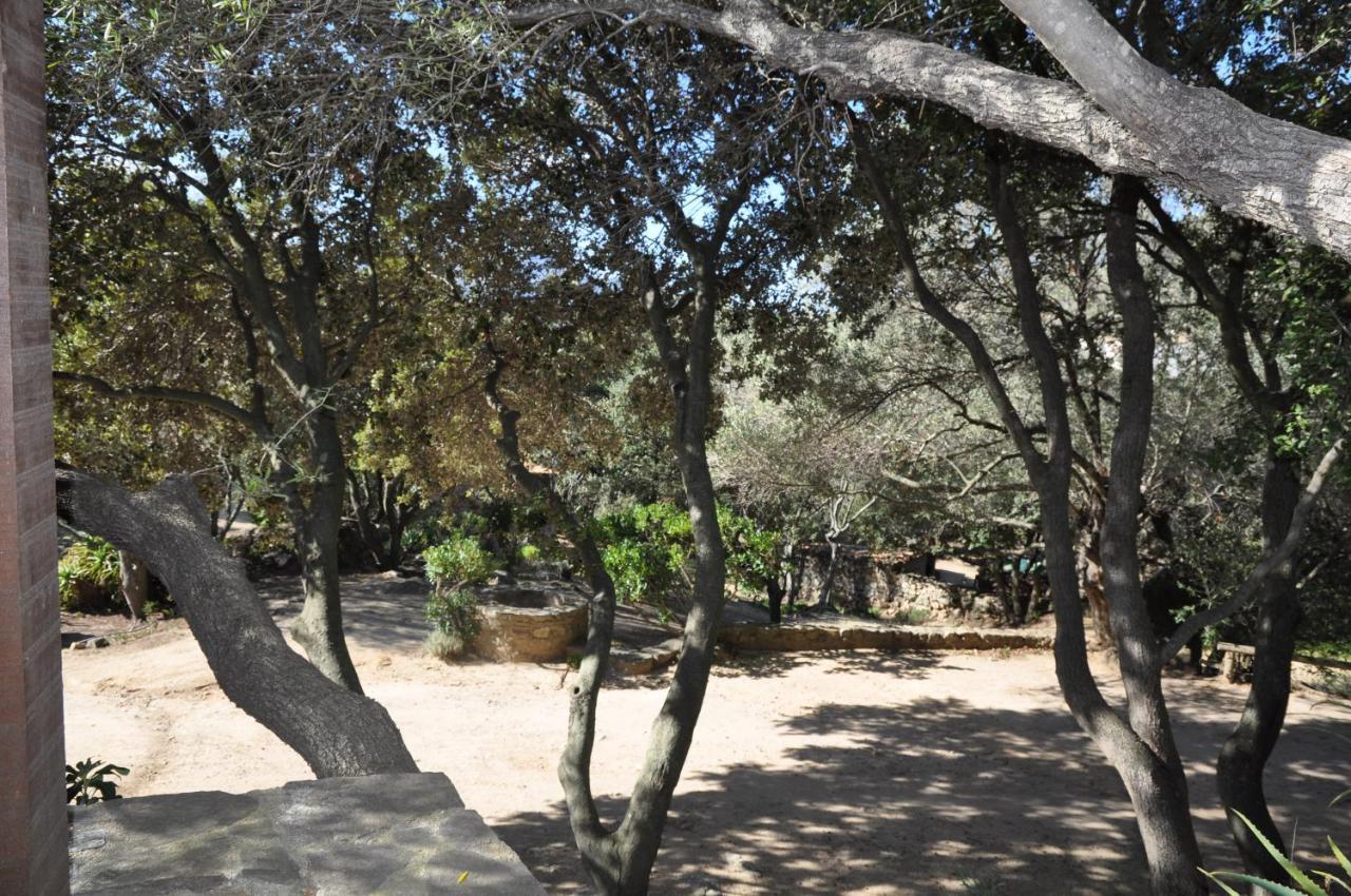 2Ba Domaine Malacucina Lumio Extérieur photo