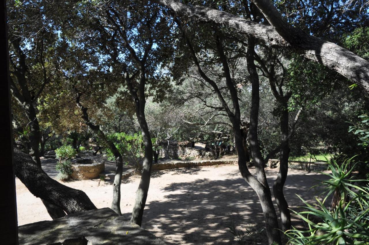2Ba Domaine Malacucina Lumio Extérieur photo