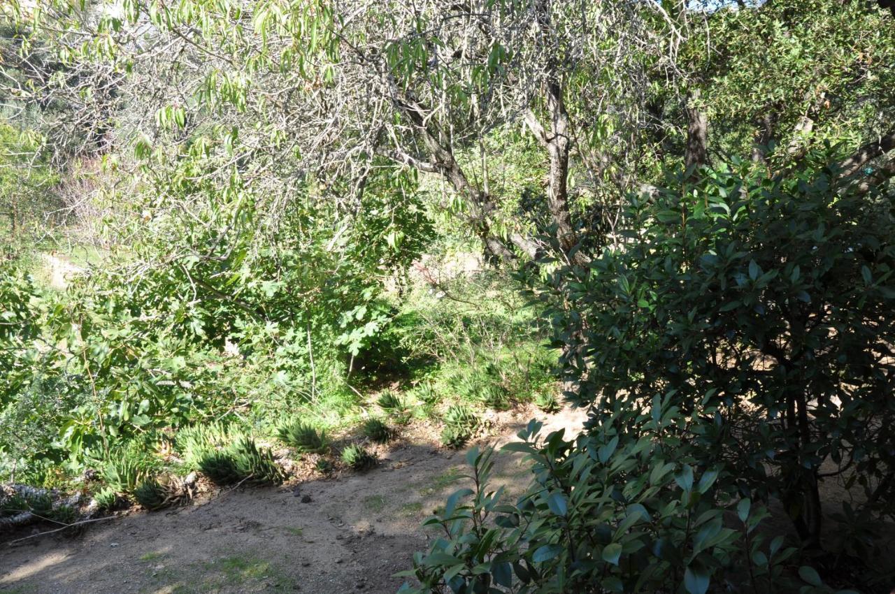 2Ba Domaine Malacucina Lumio Extérieur photo